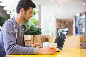 Young student using his laptop in cafe