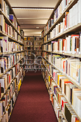 Close up of a bookshelf