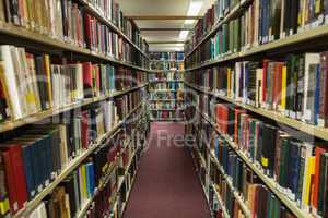 Volumes of books on bookshelf in library