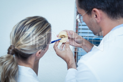 Dentists looking at mouth model