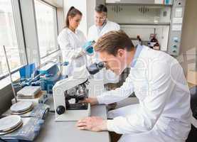 Scientist looking through a microscope