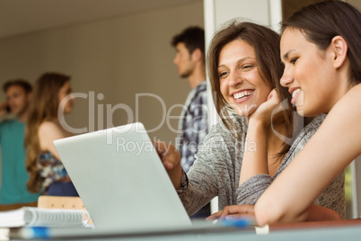 Smiling friends sitting using laptop