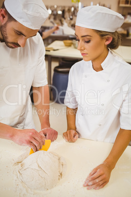 Team of bakers preparing dough