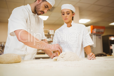 Team of bakers preparing dough