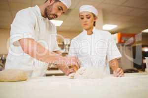 Team of bakers preparing dough