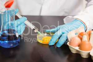 Food scientist injecting an egg yolk in petri dish