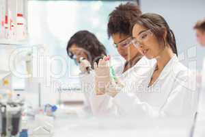 Science students working in the laboratory