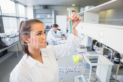 Young scientist holding up test tube