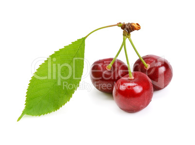 cherries isolated on white background