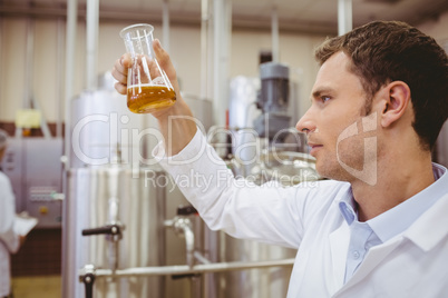 Focused scientist looking beaker with beer