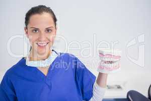 Smiling dentist showing a model