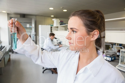 Young scientist holding up test tube