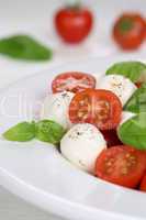 Italienischer Caprese Salat mit Tomaten und Mozzarella Käse auf