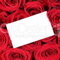Leeres Schild mit Textfreiraum auf rote Rosen zum Valentinstag,