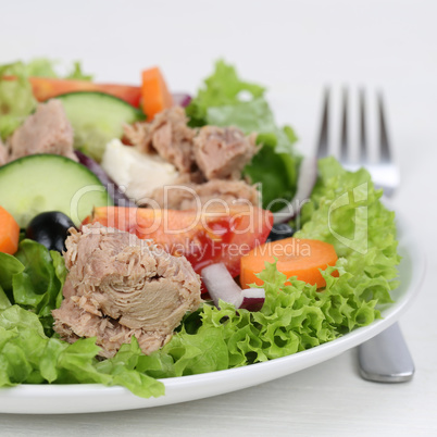 Salat mit Thunfisch auf Teller