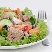 Salat mit Thunfisch auf Teller