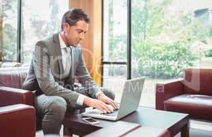 Cheerful handsome businessman working at laptop