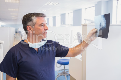 Happy dentist examining a x-ray