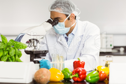 Food scientist using the microscope