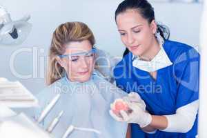 Dentist showing patient model of teeth