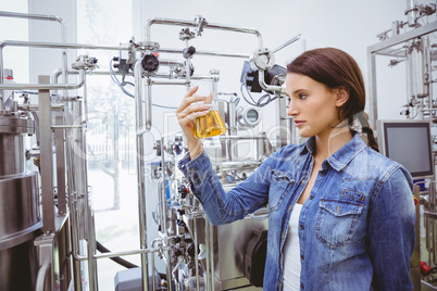 Stylish brunette in denim jacket looking at beaker of beer