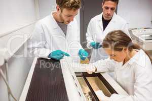 Science students using incubator in the lab