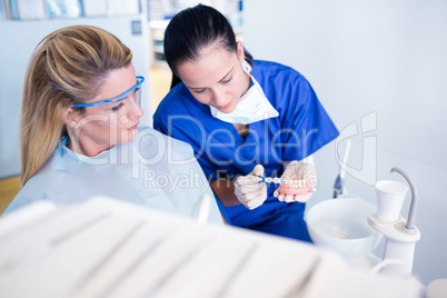 Dentist showing patient model of teeth