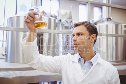 Focused scientist examining beaker with beer