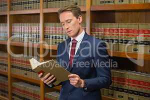 Handsome lawyer in the law library