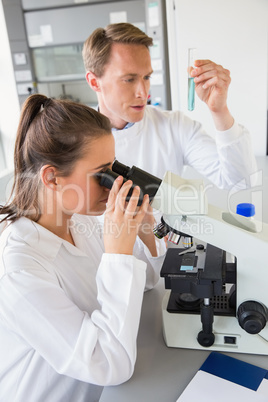 Young scientists working together with test tube Young scientists working together with test tube