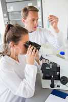 Young scientists working together with test tube