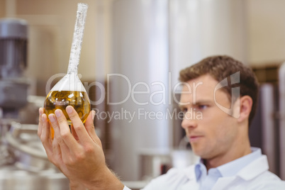 Focused scientist looking beaker with beer