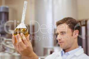 Focused scientist looking beaker with beer