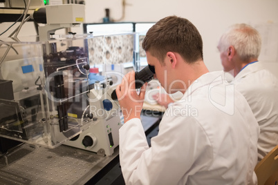 Biochemist and student looking at microscopic images on computer