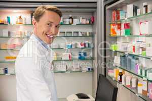 Handsome pharmacist using the computer