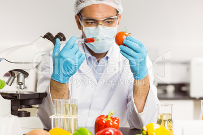 Food scientist injecting a tomato