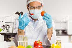 Food scientist injecting a tomato