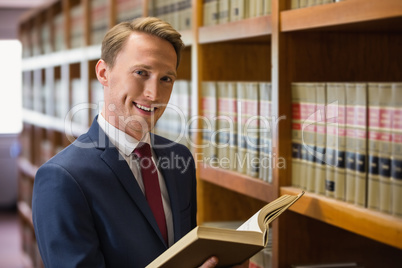 Handsome lawyer in the law library