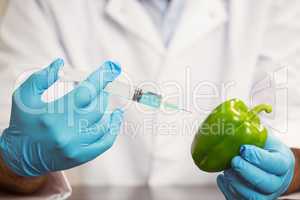 Food scientist injecting a pepper