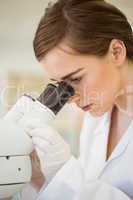 Young scientist working with microscope