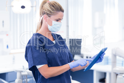 Dentist in mask and blue scrubs using her tablet