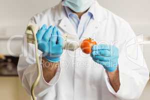 Food scientist using device on tomato