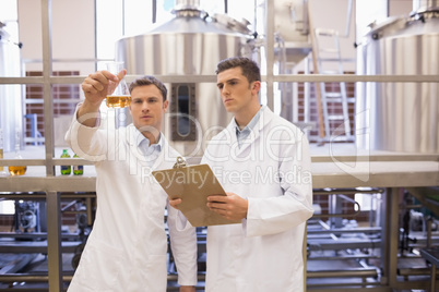 Focused scientist team looking at beaker