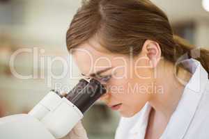 Young scientist working with microscope