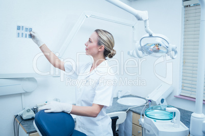 Concentrated female dentist looking at x-ray