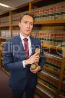 Handsome lawyer in the law library