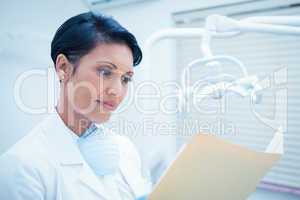 Female dentist reading reports