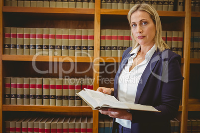Woman reading concentrated a book standing
