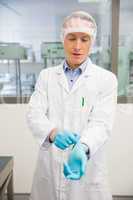 Pharmacist pulling on rubber gloves