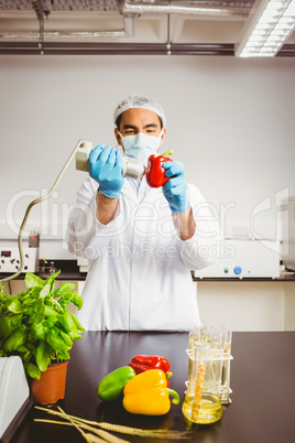 Food scientist using device on pepper